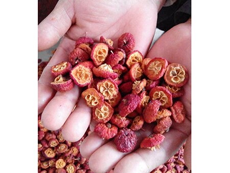 八棱海棠果干 