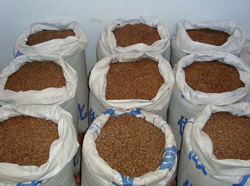 八棱海棠果种子